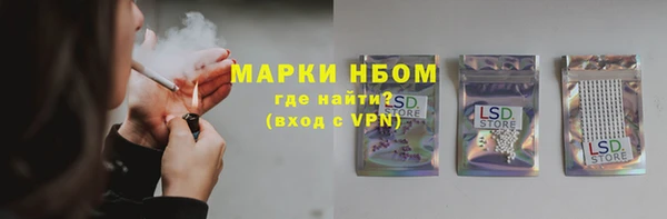 винт Гусь-Хрустальный