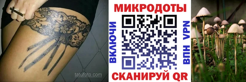 Галлюциногенные грибы Magic Shrooms  Ейск 